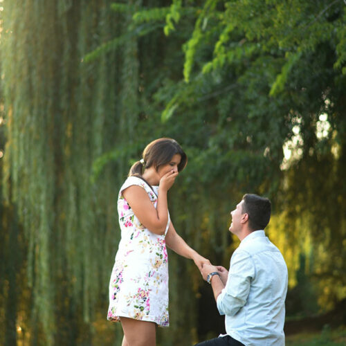 Top 3 classic proposal ideas to try