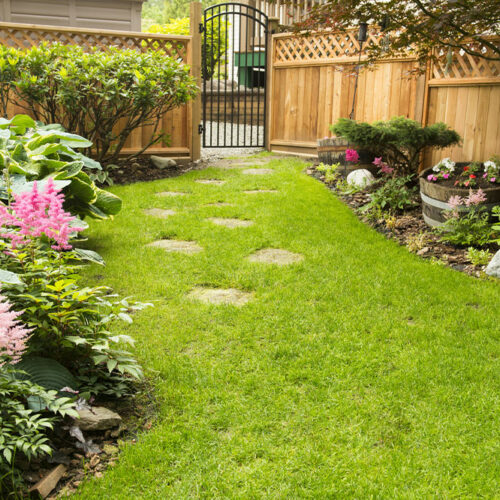 3 popular yard hacks that don&#8217;t work